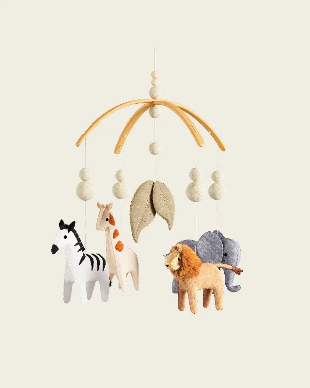 Safari Mobile